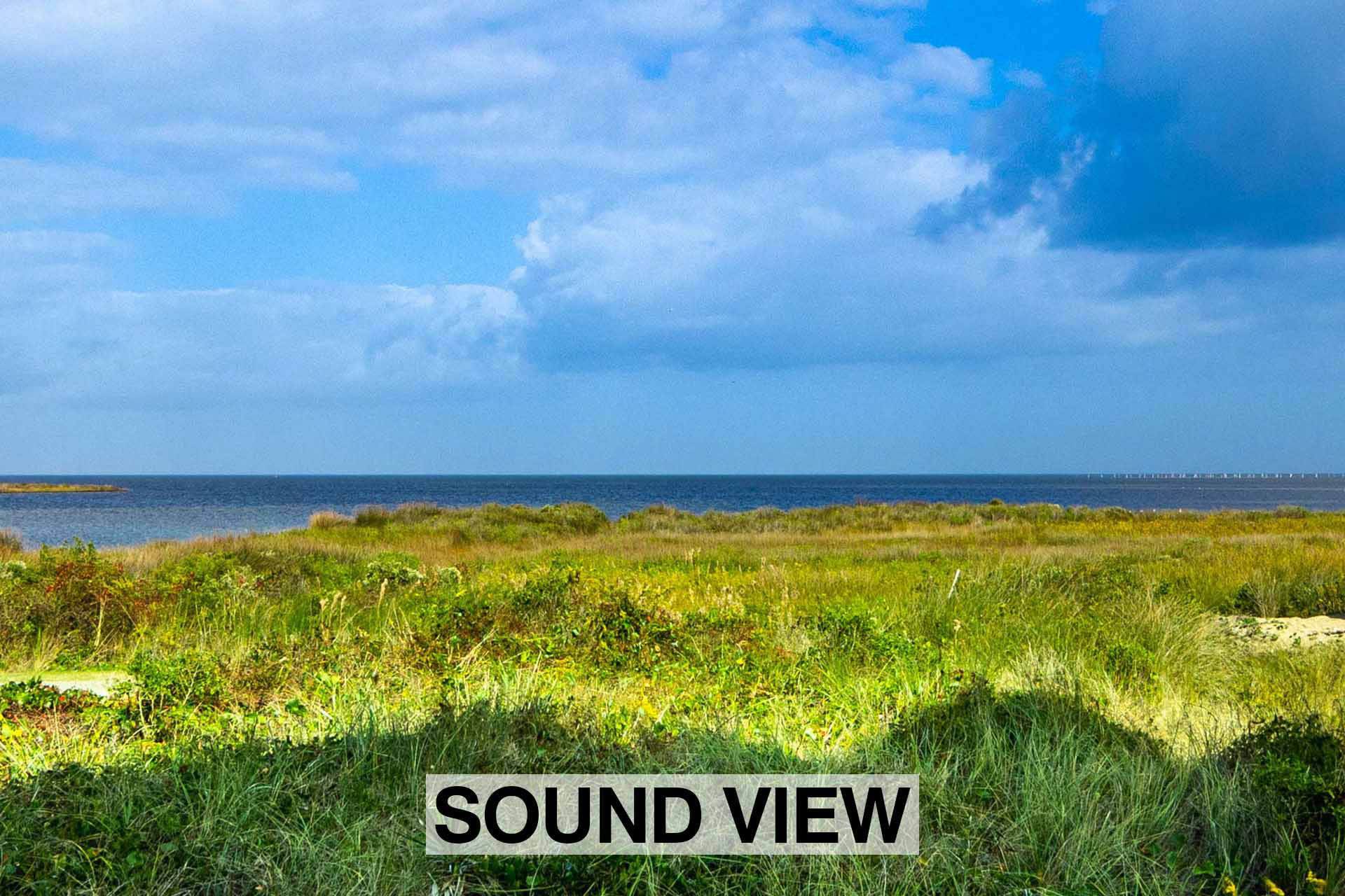 20 Surf Or Sound Realty 1000 Bellavues Views 02 3369485