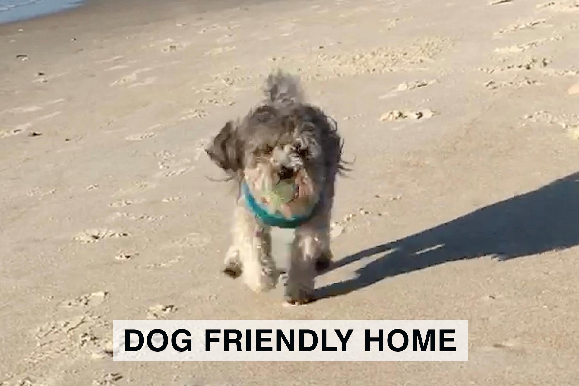 Surf Or Sound Realty Dog Friendly Home 3350581