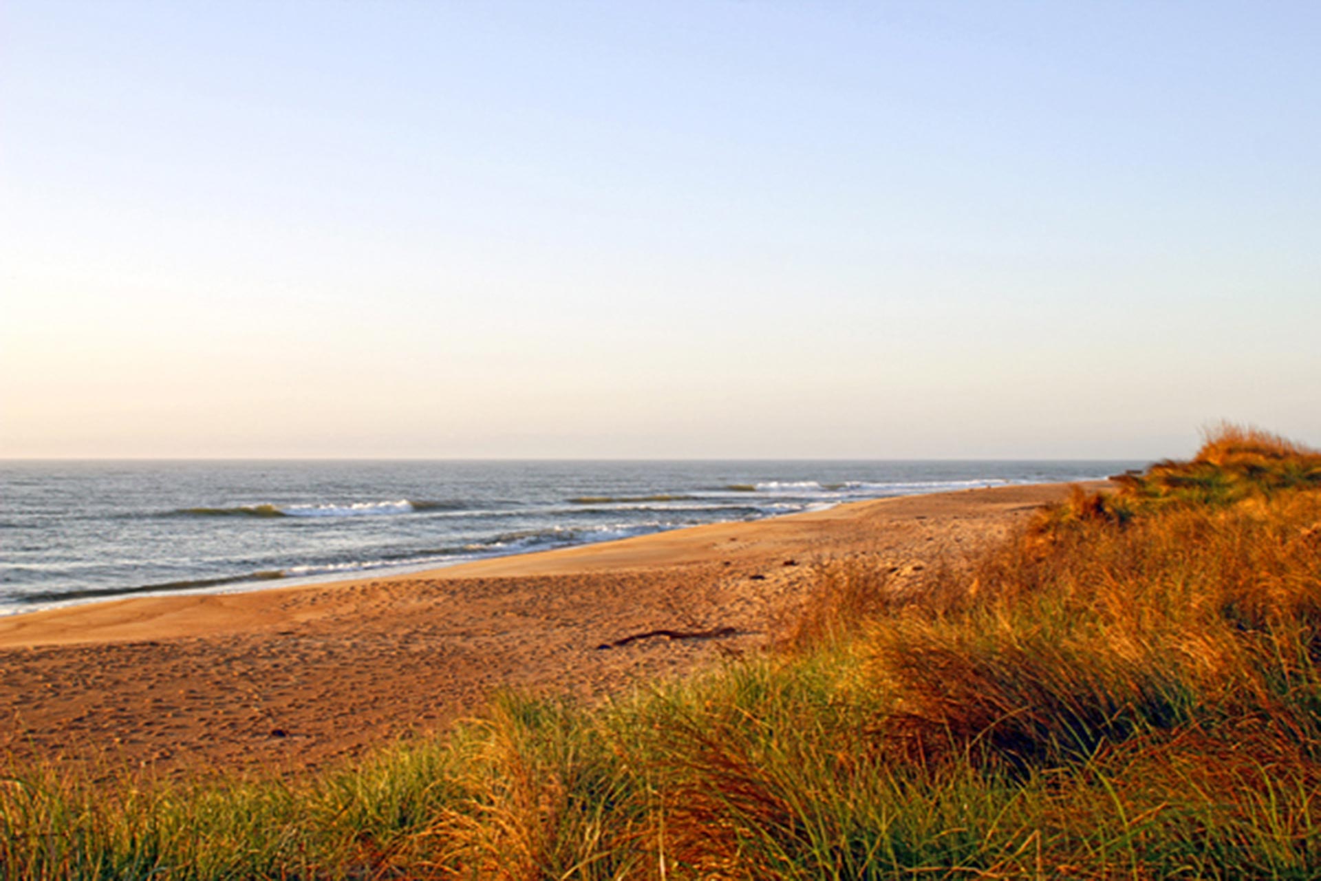 Surf Or Sound Realty Dune Crab 24 View 3344450