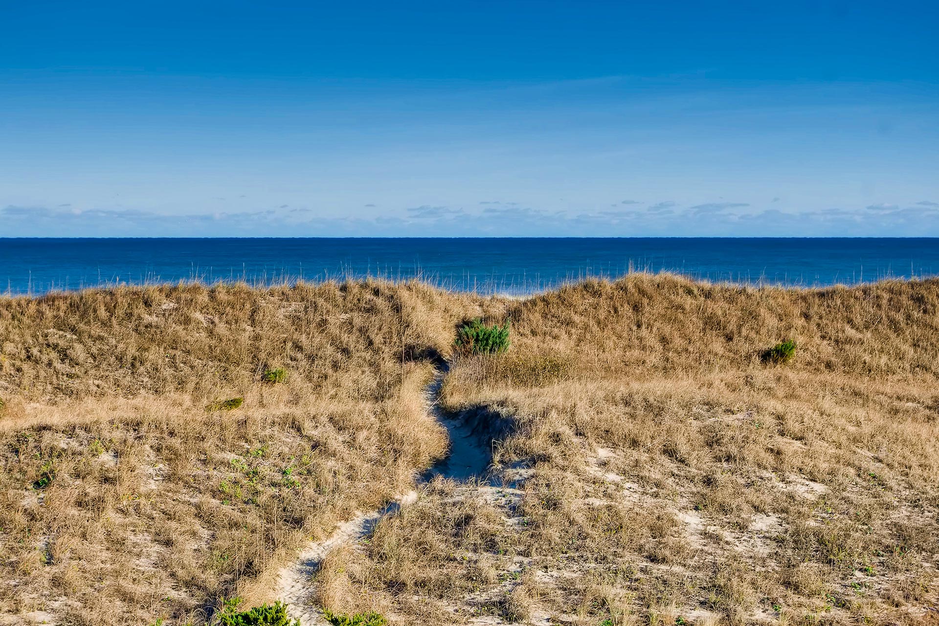 Surf Or Sound Realty Buckeye Waves 673 View 3341808